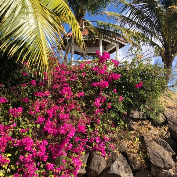 SORRY ,MY CLOSET IS CLOSING IN A MONTH - Picture 14 of 17